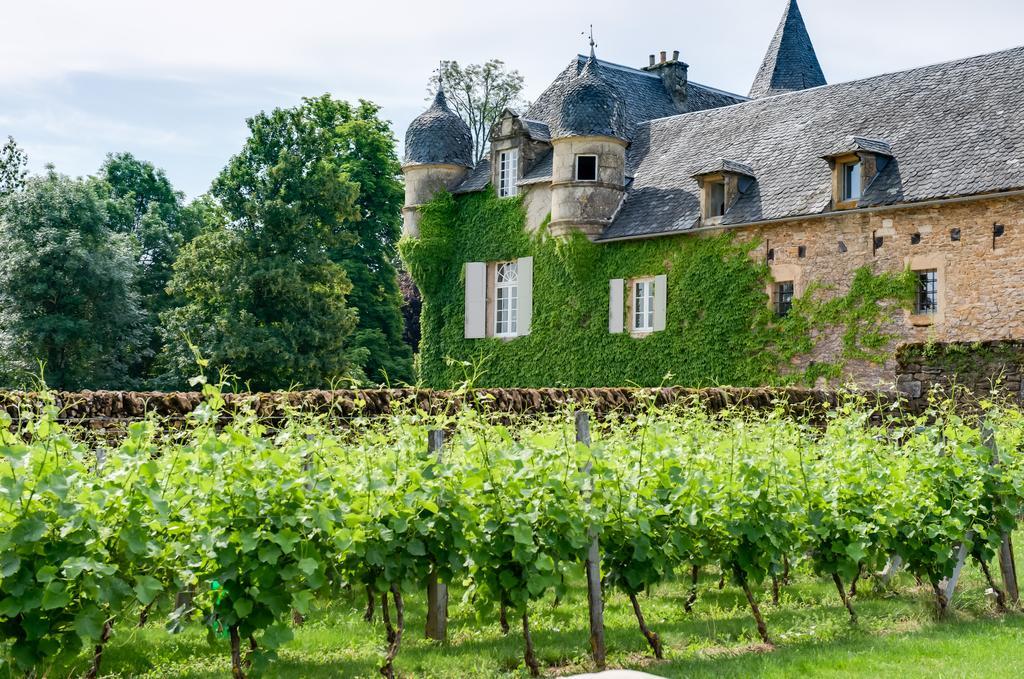 Chateau De Labro - Teritoria Onet-le-Chateau Exterior photo